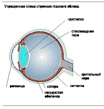 Схема фокусировки лучей при ядерной катаракте